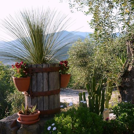 La Gatta Sul Sentiero Bed & Breakfast San Salvatore  Bagian luar foto