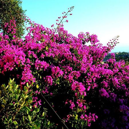 La Gatta Sul Sentiero Bed & Breakfast San Salvatore  Bagian luar foto