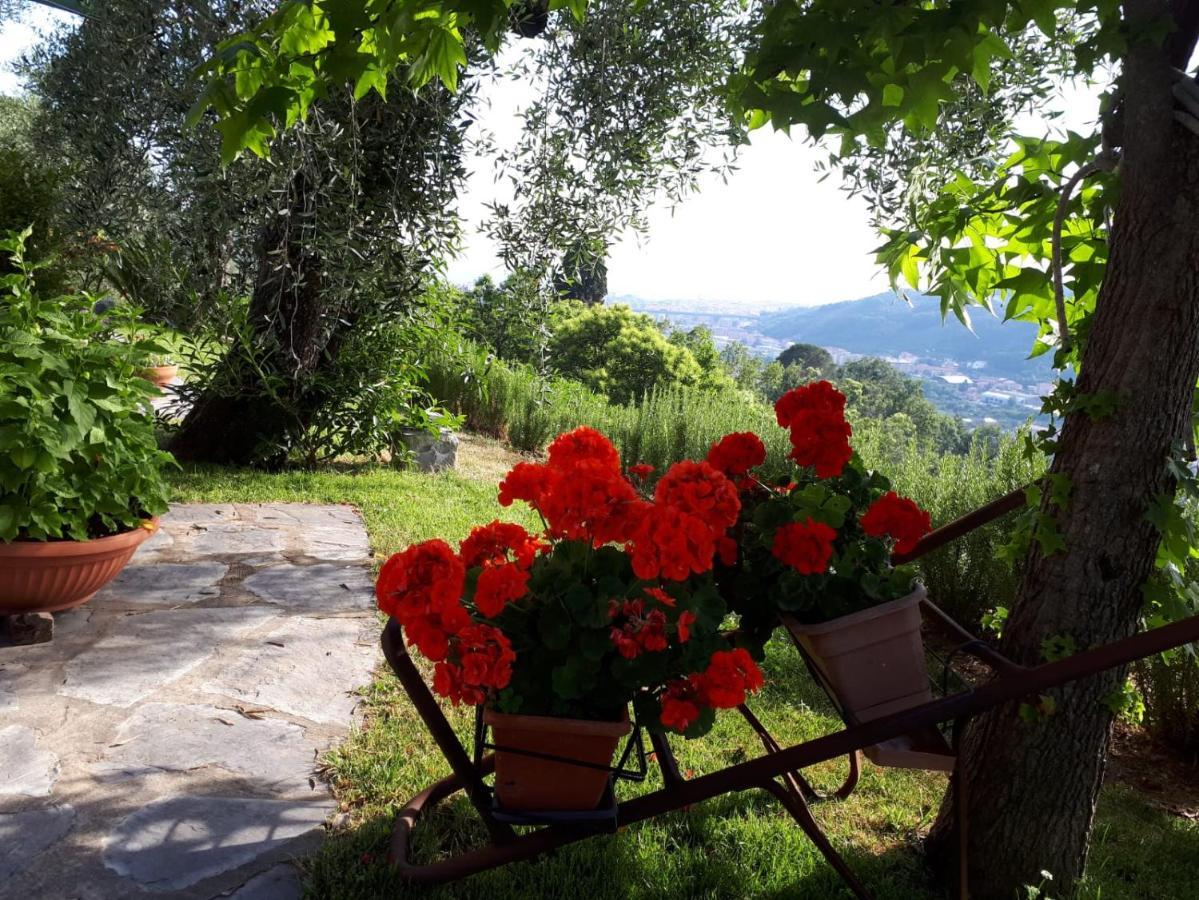 La Gatta Sul Sentiero Bed & Breakfast San Salvatore  Bagian luar foto