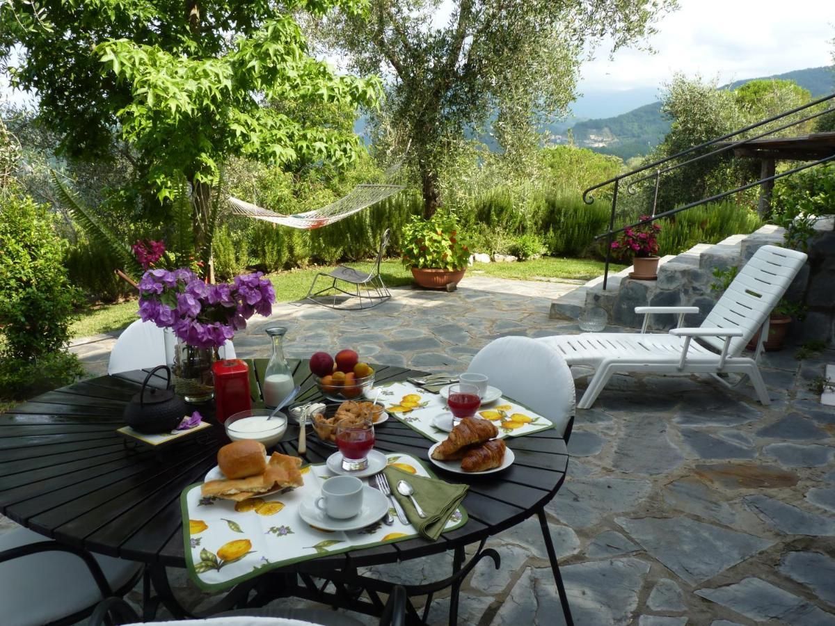 La Gatta Sul Sentiero Bed & Breakfast San Salvatore  Bagian luar foto