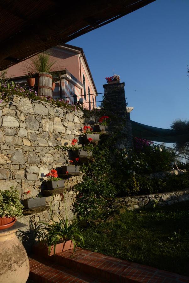 La Gatta Sul Sentiero Bed & Breakfast San Salvatore  Bagian luar foto