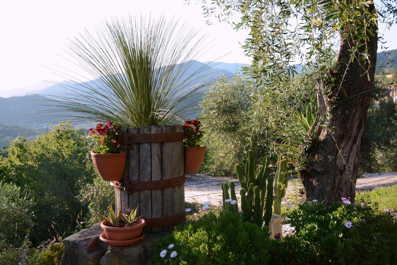 La Gatta Sul Sentiero Bed & Breakfast San Salvatore  Bagian luar foto