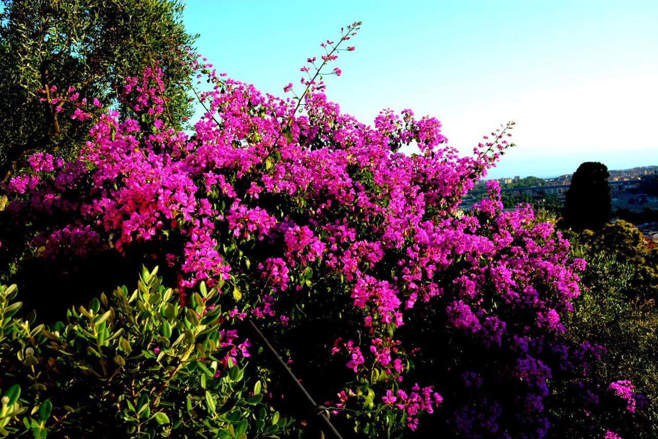 La Gatta Sul Sentiero Bed & Breakfast San Salvatore  Bagian luar foto